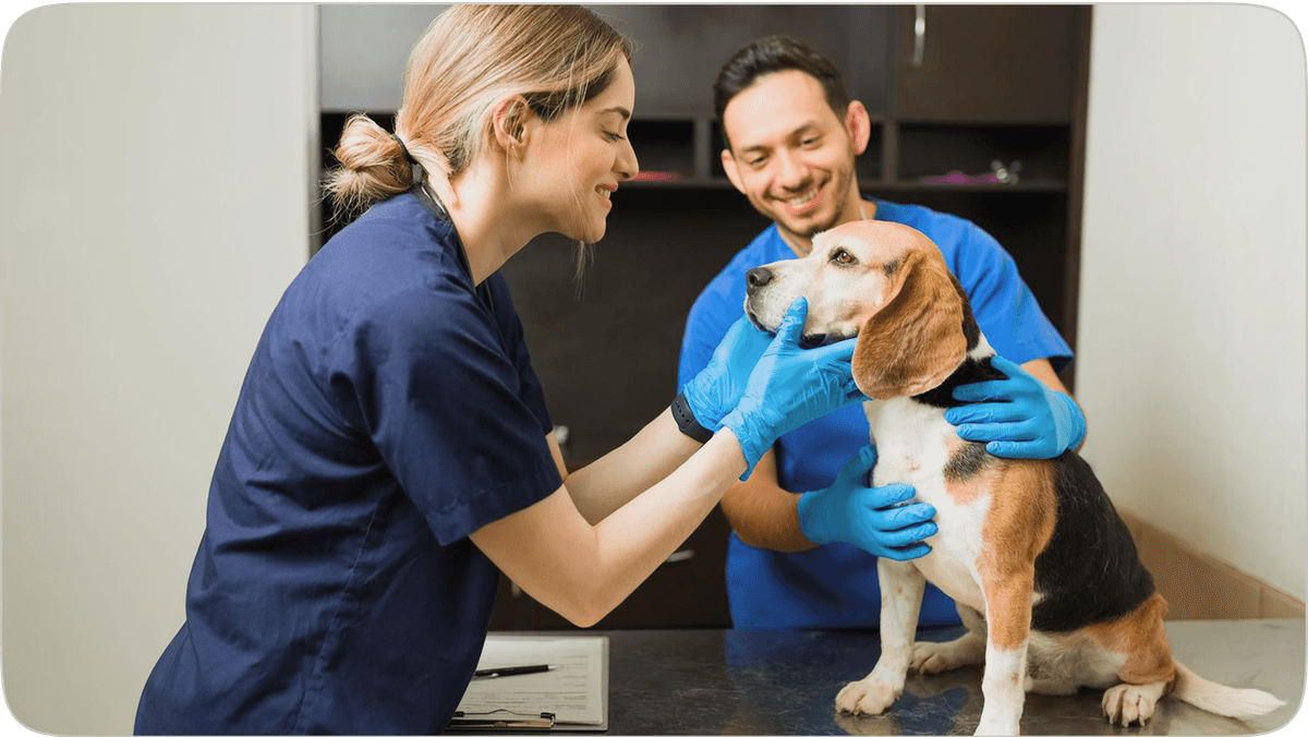 Meet Lab Technicians & Rehab Specialists illustration